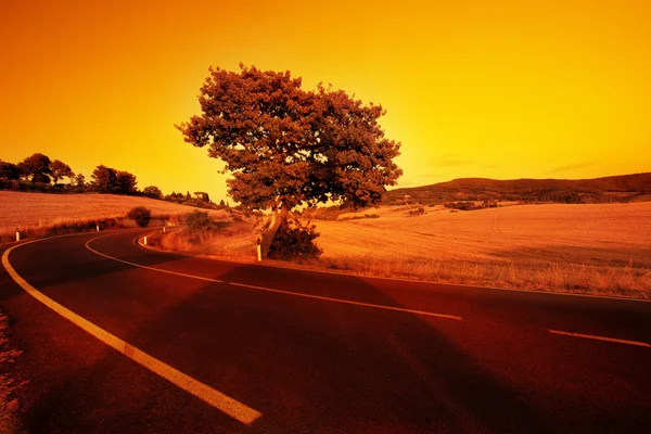 Wonderful italy tuscany hill at sunrise — Stock Photo, Image