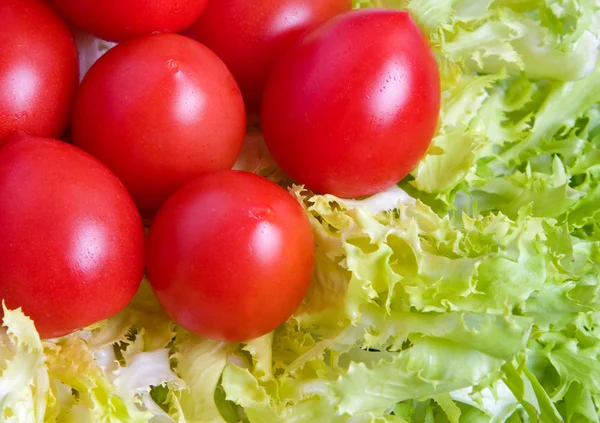 Салат з помідорів — стокове фото