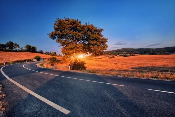 Wonderful italy tuscany hill — Stock Photo, Image