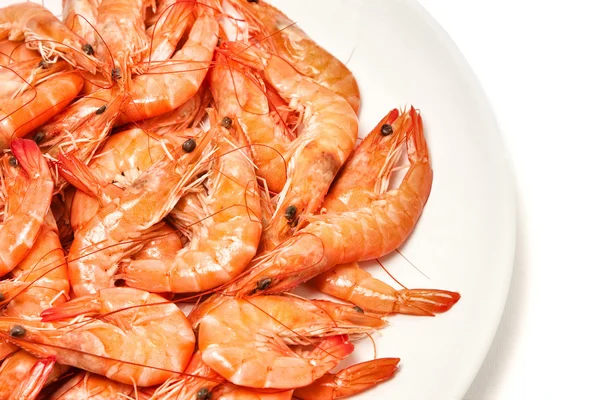 Shrimp fresh seafood — Stock Photo, Image