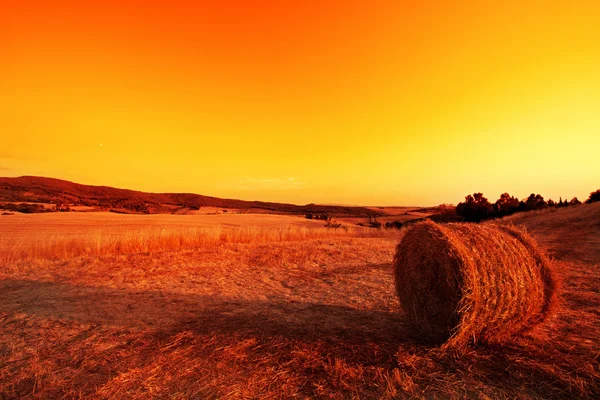 Balle di fieno sulle colline toscane al tramonto . — Foto Stock