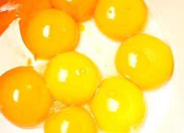 yumurta sarısı