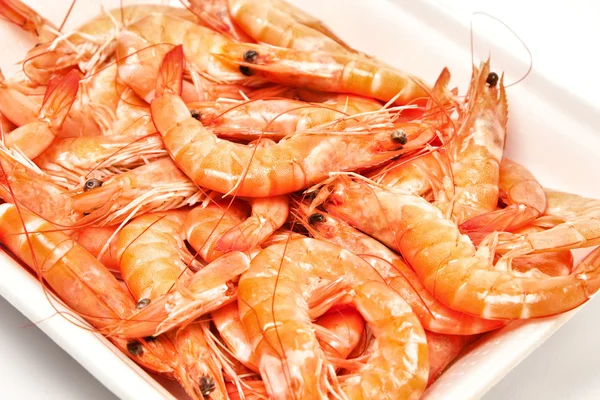 Shrimp fresh seafood — Stock Photo, Image