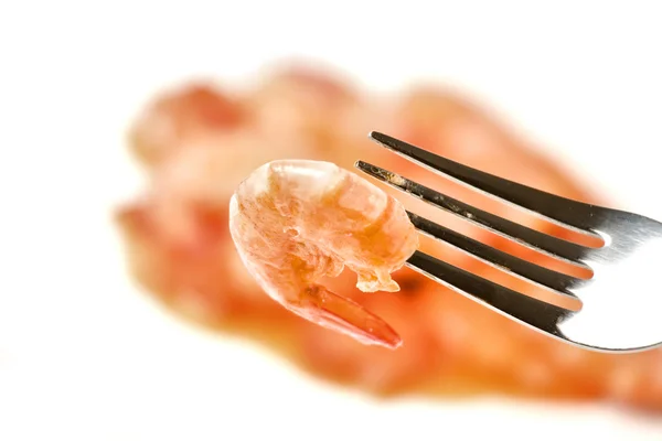 Tomato sauce and shrimps — Stock Photo, Image