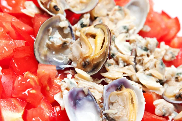 Соус со свежими помидорами и моллюсками — стоковое фото