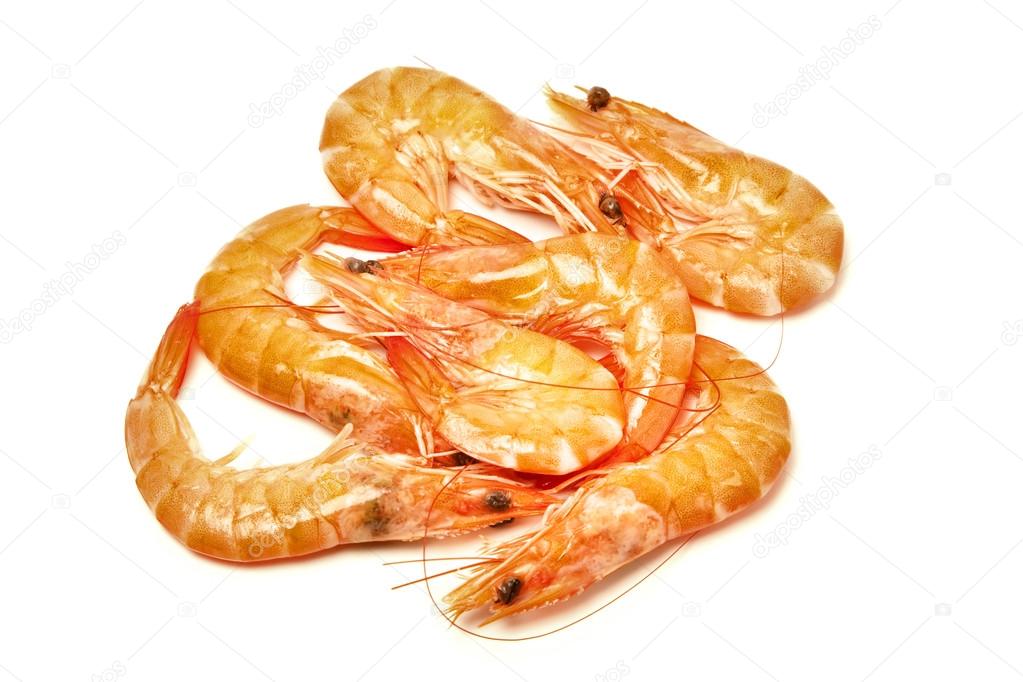 shrimps isolated on white