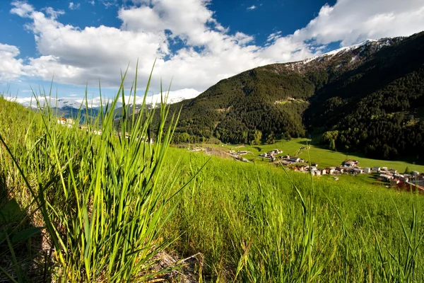 Italienska alpina dal — Stockfoto