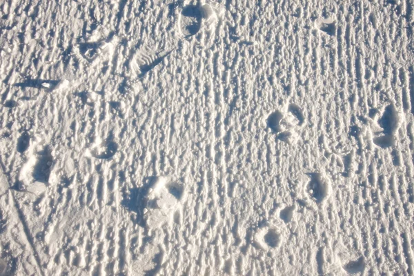 White Snow texture — Stock Photo, Image