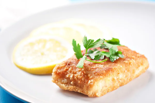 Fillet of salmon on a plate — Stock Photo, Image