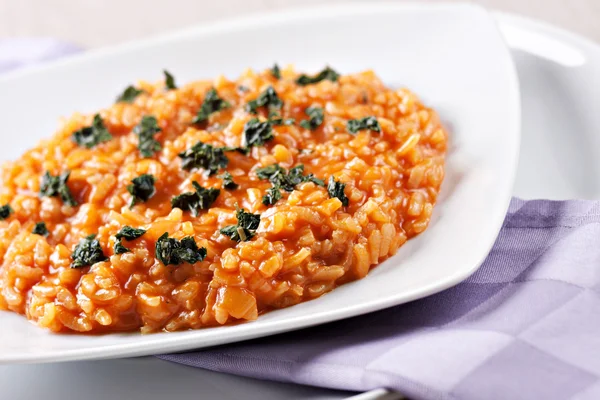 Verse Risotto met tomaten — Stockfoto