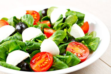 taze karışık salata