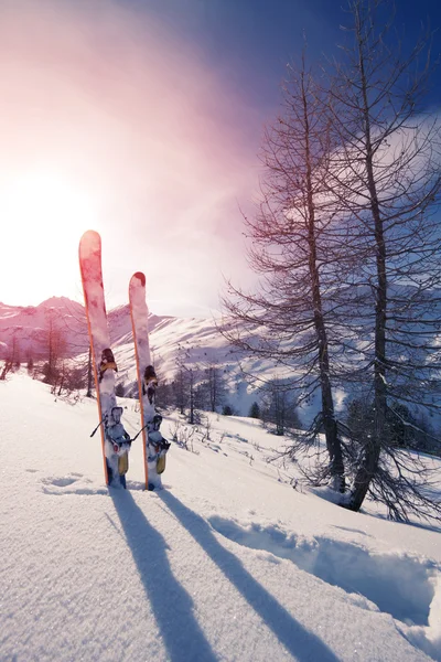 Skis dans la neige sur les montagnes — Photo