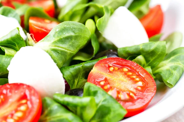 Salada mista com legumes — Fotografia de Stock