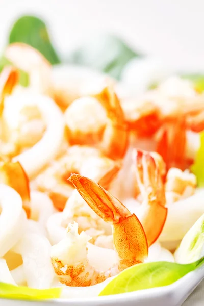 Shrimps and squid salad — Stock Photo, Image