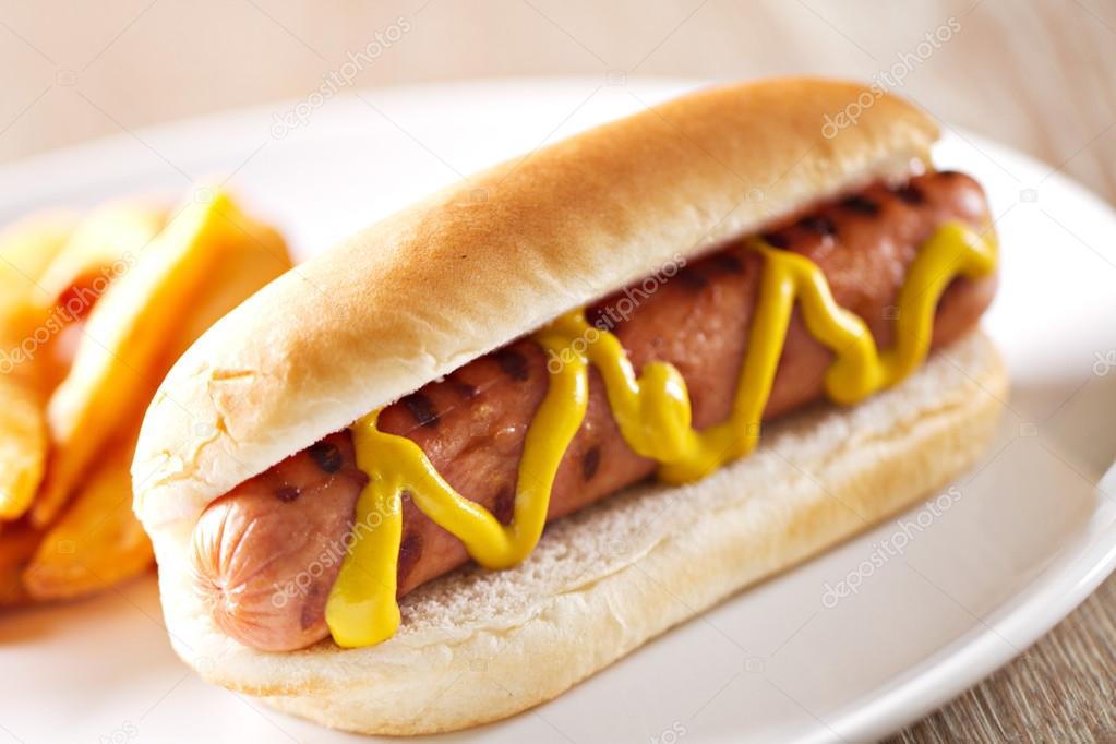 Hotdog and Fries on plate