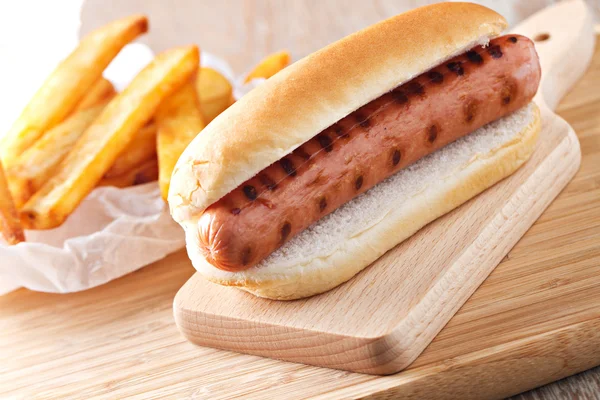 Delicioso cachorro-quente e batatas fritas — Fotografia de Stock