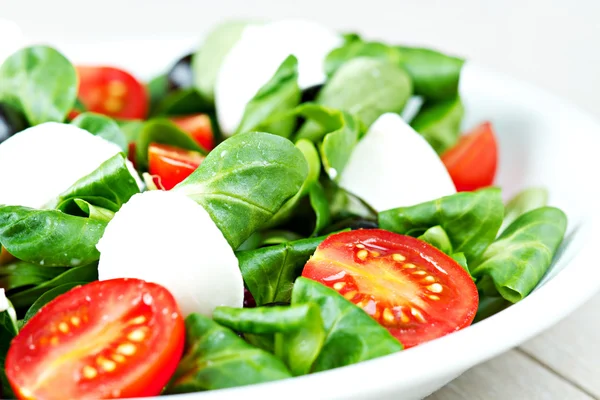 Mixed salad with fresh vegetables Royalty Free Stock Photos