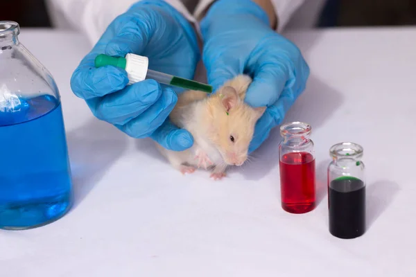 Kozmetik ve uyuşturucuyu hayvanlar üzerinde test etmek