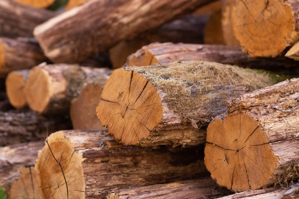 Metin için arka plandaki günlük kayıtları