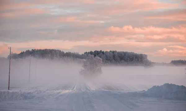 Winter Landscape Snowy Road Woods Covered Snow Hoarfrost Cloudy Day — Stock Photo, Image