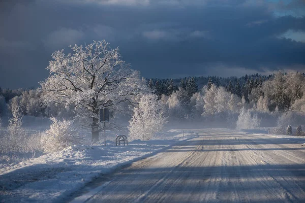 Winter Landscape Snowy Road Woods Covered Snow Hoarfrost Cloudy Day — Stock Photo, Image