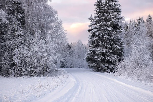 Paysage Hivernal Route Enneigée Près Des Bois Couvert Neige Givre — Photo