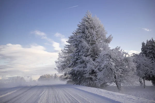 Paysage Hivernal Route Enneigée Près Des Bois Couvert Neige Givre — Photo