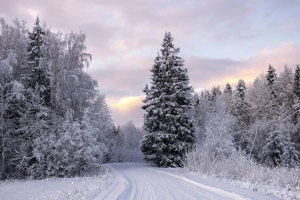 Winter Landscape Snowy Road Woods Covered Snow Hoarfrost Cloudy Day — Stock Photo, Image