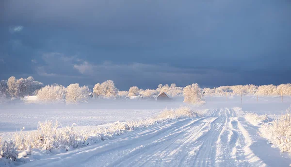 Paisaje Invernal Carretera Nevada Cerca Los Bosques Cubiertos Nieve Heladas — Foto de Stock