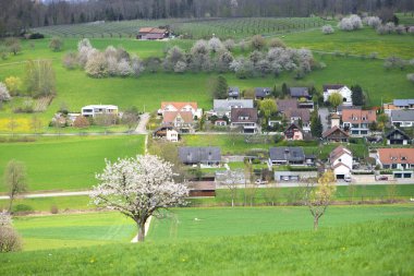 İsviçre, Canton Basel Bölgesi, Olsberg, Arisdorf 'u çevreleyen manzara