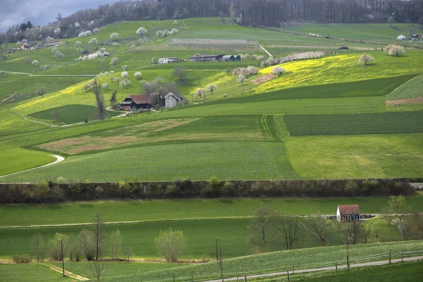 Suisse Canton Bâle Pays Olsberg Environs Arisdorf Paysage — Photo