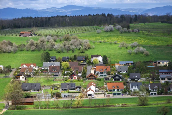 Suiza Canton Basel Country Olsberg Alrededores Arisdorf Paisaje —  Fotos de Stock