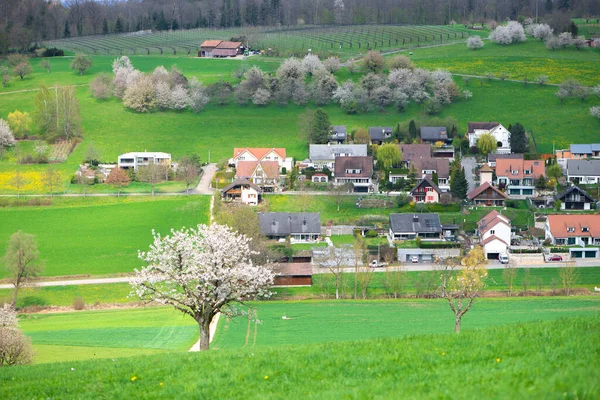 Switzerland Canton Basel Country Olsberg Surrounding Arisdorf Landscape — Stock Photo, Image