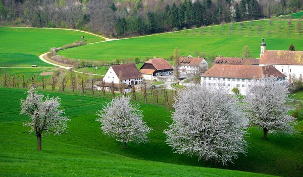 Pohled Shora Olsbergův Klášter Olsberg Obec Okrese Rheinfelden Kantonu Aargau — Stock fotografie