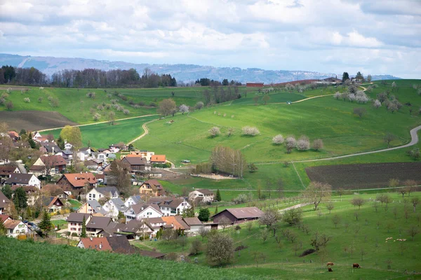 Szwajcaria Kraj Bazylejski Olsberg Okolice Arisdorf Krajobraz — Zdjęcie stockowe