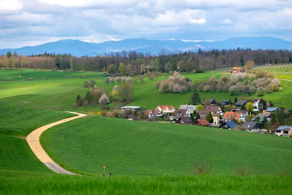 Schweiz Kanton Basel Land Olsberg Omgivande Arisdorf Landskap — Stockfoto