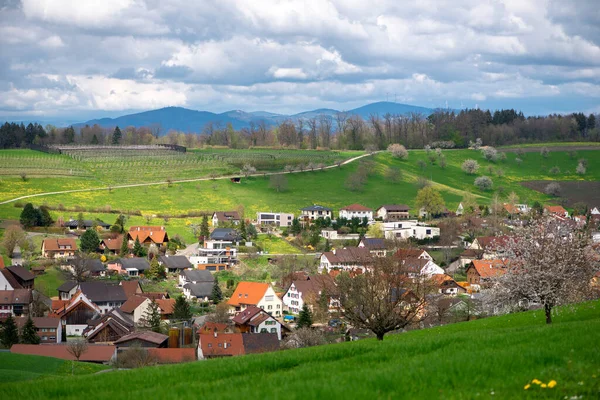 Schweiz Kanton Basel Land Olsberg Omgivande Arisdorf Landskap — Stockfoto