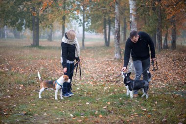 Sibirya köpekli evcil hayvan sahipleri bir sonbahar sabahı şehir parkında iyi vakit geçirirler.
