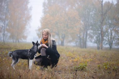 Sonbahar boyunca şehir parkında oynayan güzel Sibiryalı köpekli genç bir kadın.