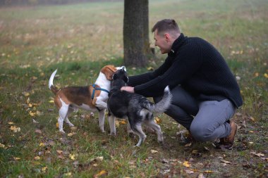 Sonbahar parkında köpeği olan genç bir hayvan sahibi.