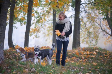 Sonbahar yapraklarında oynayan iki köpeği olan genç bir hayvan sahibi.