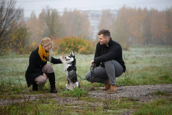 Mladý Rodinný Pár Sibiřským Husky Pes Procházky Podzimním Parku — Stock fotografie
