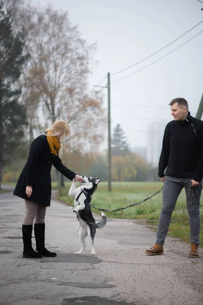 Junges Familienpaar Geht Mit Sibirischem Husky Hund Herbstpark Spazieren — Stockfoto