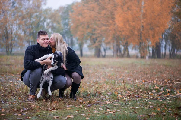 Unga Familj Par Med Sibirisk Husky Hund Promenader Höstparken — Stockfoto