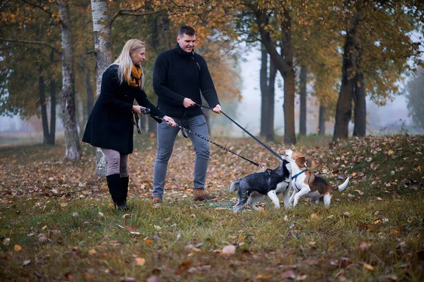 Junges Familienpaar Geht Mit Sibirischem Husky Hund Herbstpark Spazieren — Stockfoto