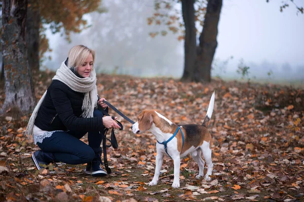 Mladá Žena Šťastným Bígl Pes Chůze Hraní Podzim Listí — Stock fotografie