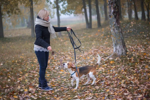 Young woman with happy beagle dog walking and playing in autumn leaves