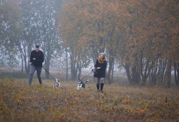 Happy Young Family Couple Two Dogs Running Autumn Park — Stock Photo, Image