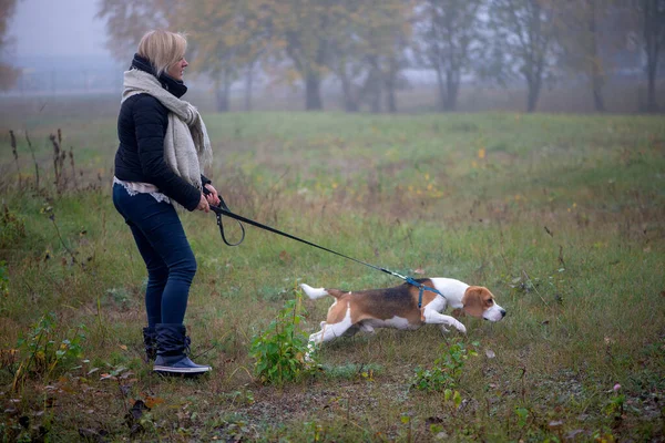 Junge Frau Mit Fröhlichem Beagle Hund Beim Gassigehen Und Spielen — Stockfoto