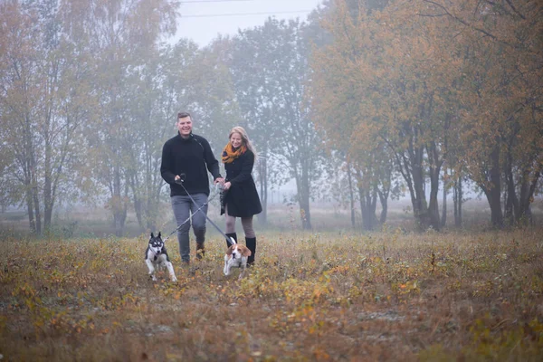 Glad Ung Familj Par Med Två Hundar Som Springer Höstparken — Stockfoto